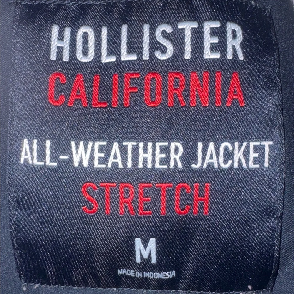 Hollister girls all